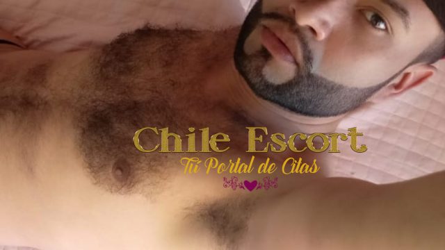 ca2ac157-e566-4cee-bd59-c3ffb079a097