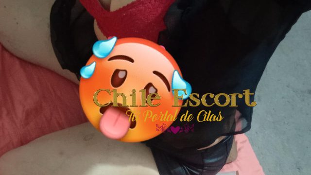 d11e0160-9eff-4895-8d02-8a0a398b92ba