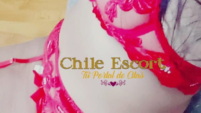 e59d047a-b0c6-42c1-9b4a-1457f0e8f516