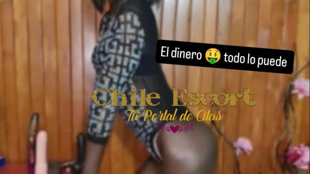32d87969-3fb1-4462-8cb5-06e66a6320d3