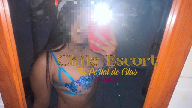 7735d717-ce83-44d5-9768-a1e6961306fe