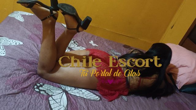 cbfd789d-95d8-439b-b653-6111169dc204