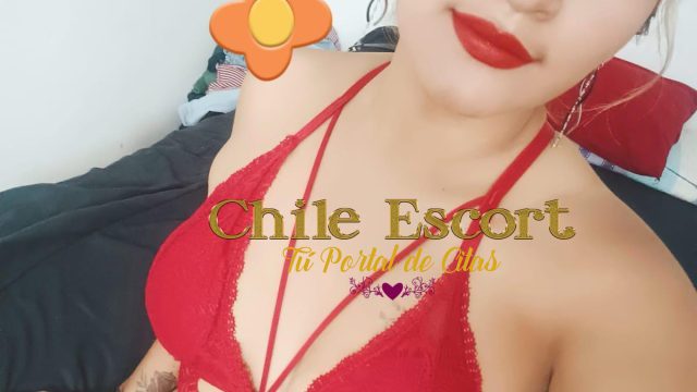 b6a21ffb-0624-476a-8ea3-7b852cde7284