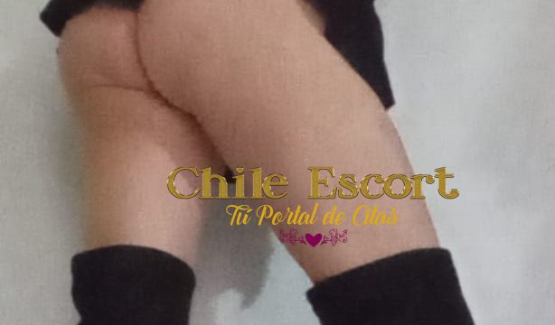e9dc1bd0-0964-4a49-ab9e-1f97361abbf0