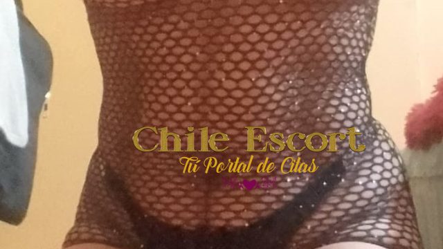 f05b2e13-c87b-4129-b9dc-571c2693c676
