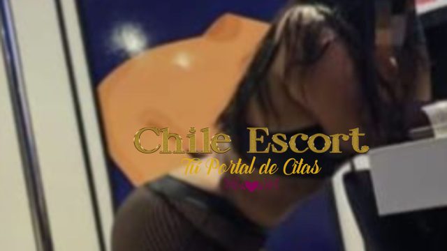 028531de-a2aa-4ea5-893a-36e4720e65ce