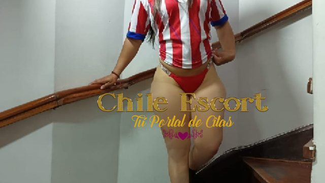 addd62ec-fd1a-42a4-969d-2bd702fd35b1