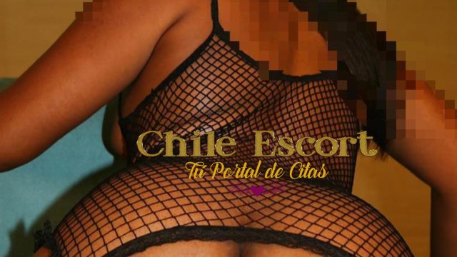 b19b191a-f31c-4e07-83fa-2252f17023ee