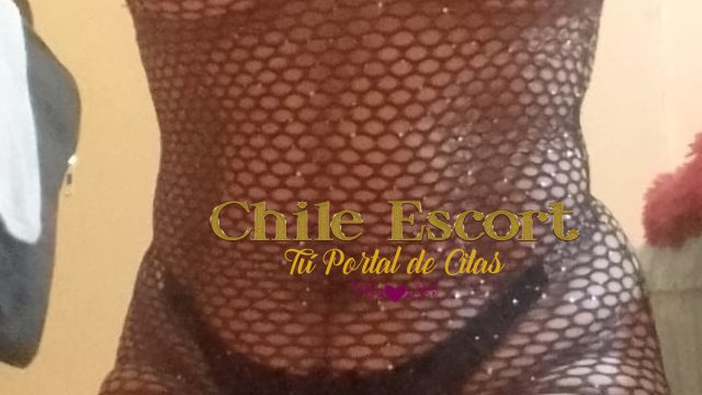 bce97b81-48b3-4a98-9fe5-b98fa7419c68