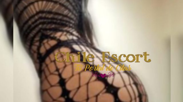 eec72697-3369-4e85-9ba3-ca77bdc9b49e