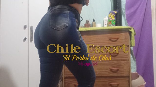 033d1eae-67c6-44a8-8bb4-c7131d532bb5