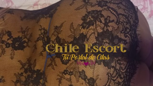 334086db-d83f-4b5d-b625-b22002263439