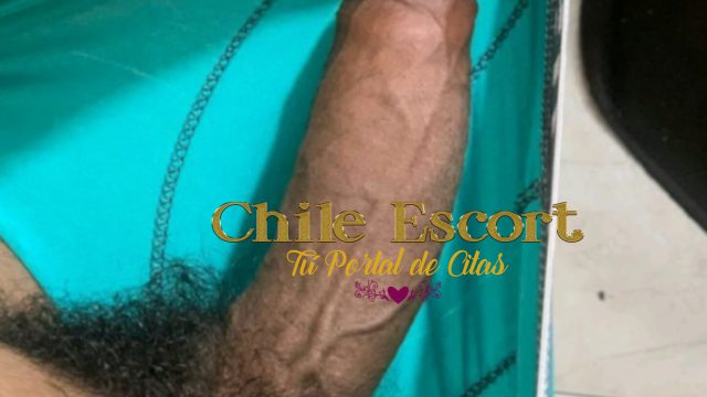 40410327-e100-48d7-8e1f-8b08bdfc985d