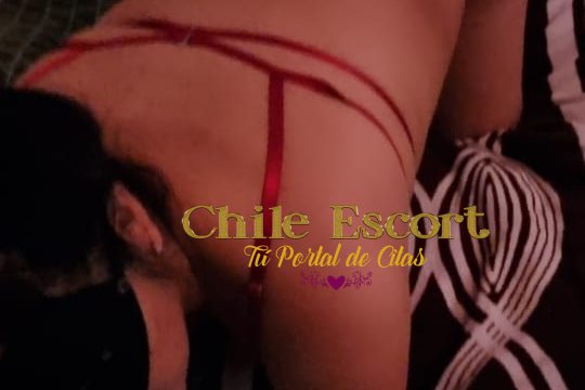 46781c5d-7957-4dce-a1f3-5fd94ed9839e