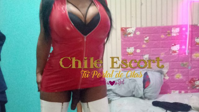 51ce4040-101b-4378-870b-c3abd949dd63