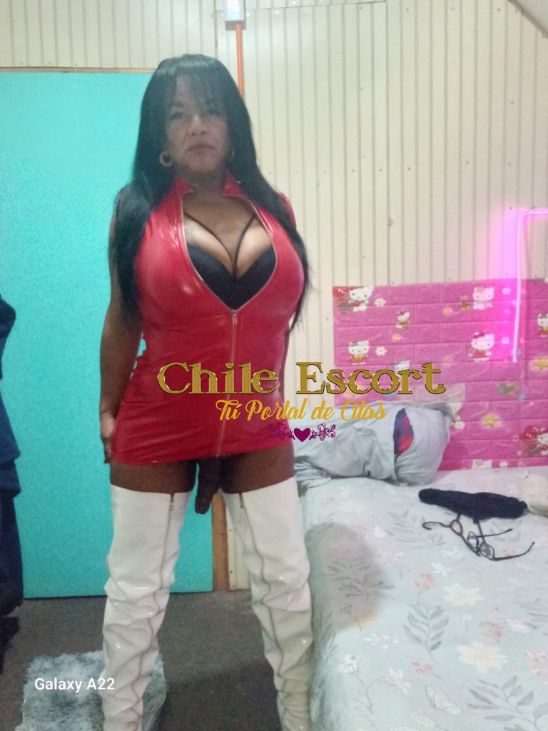 51ce4040-101b-4378-870b-c3abd949dd63