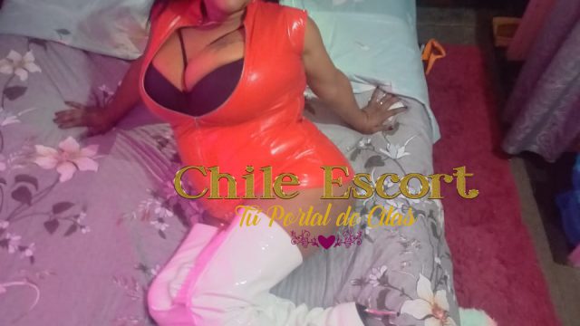 54531fab-da21-44eb-b2cb-1be4e58555e4