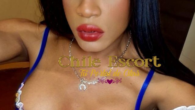 62e42aa4-a3d7-47e6-bb64-e177ef94ddb6