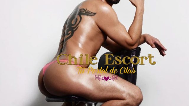 7686eee1-eca2-4fcd-ba9d-e0a8e4e4ea88