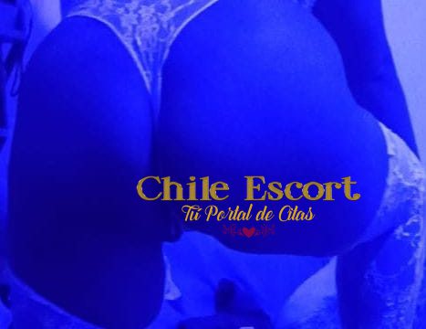 81ce4bdb-84a8-4400-ba02-f3524086d4fe