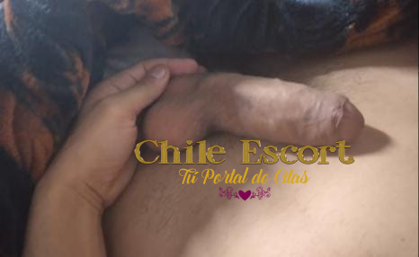 9a1e5e68-a5bc-4532-a723-0ae207cf39e3