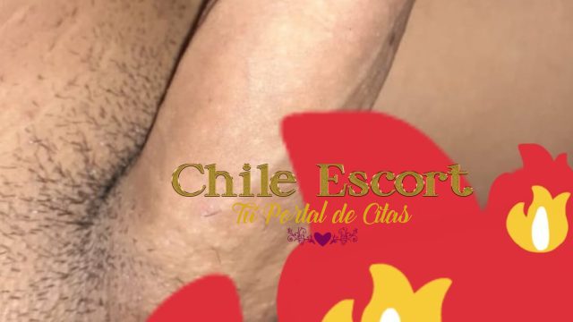 a08cd7d9-4a6e-4acd-829e-38d0db94b659