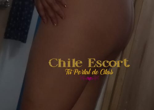 d7869bcb-bf3d-4eee-8214-f777418795f3