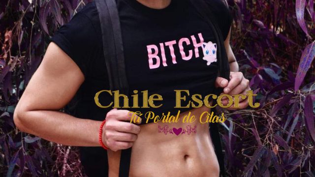 e585c4c0-bb86-495b-8193-d244e3a16618