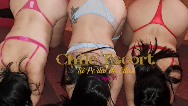 fff1ef6c-be63-4808-8654-02d7411f5d8c