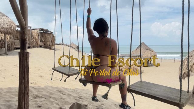 2061f69d-53f0-45d0-8b5a-c9c8332e9f4b