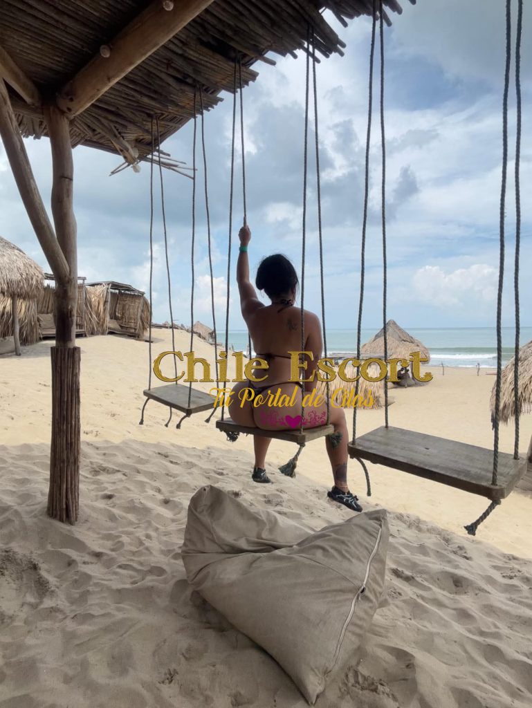 2061f69d-53f0-45d0-8b5a-c9c8332e9f4b