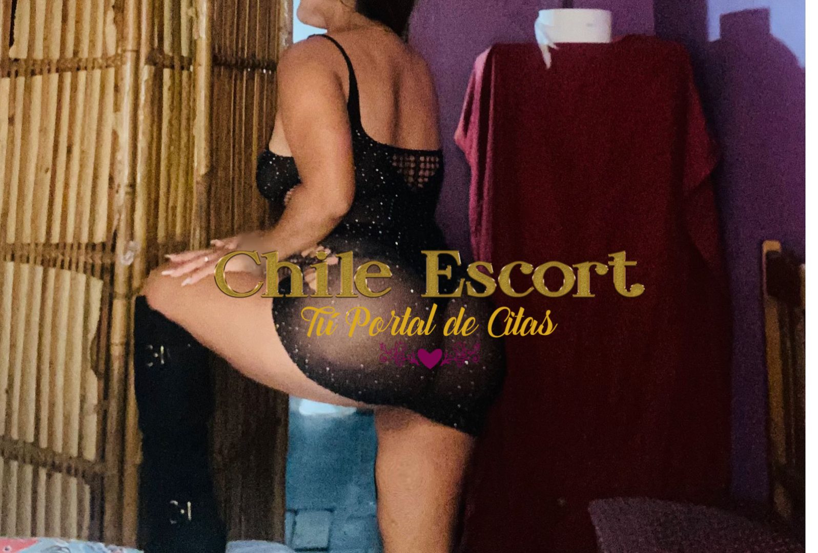 28f4d313-6dd3-4a18-a9dd-5a339752023d