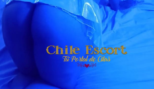 511e54a9-685d-4f59-9fdb-ba0a2ae999b9