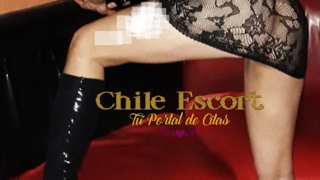 53112441-811b-41c3-95c3-1f74c11638ee