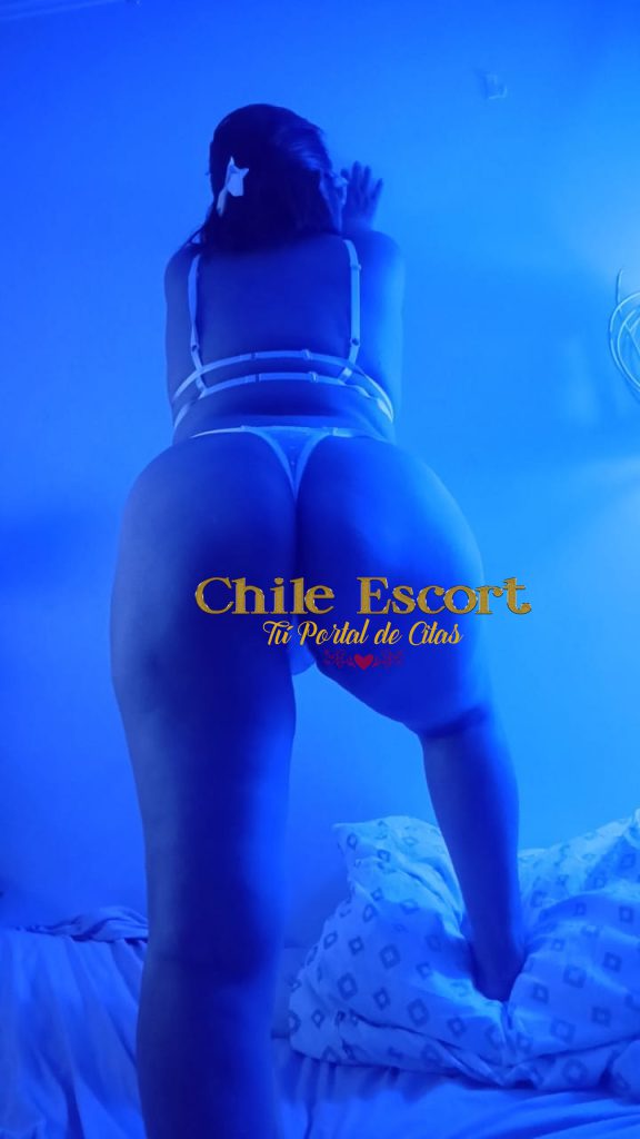 571d4a9b-548b-472d-a511-c8e8d5a8806e