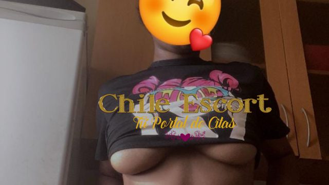 8d578791-9078-42ce-88fa-13c80659c5f2