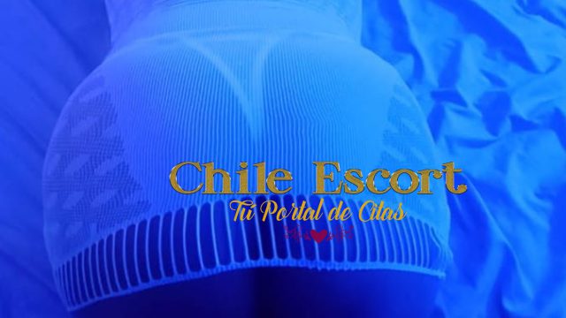 951351dc-dfc1-4c6d-9661-d919485374c6