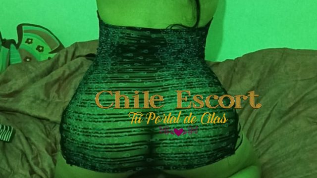 9dbc3a56-6ac7-40ce-9213-627b0786b8e1