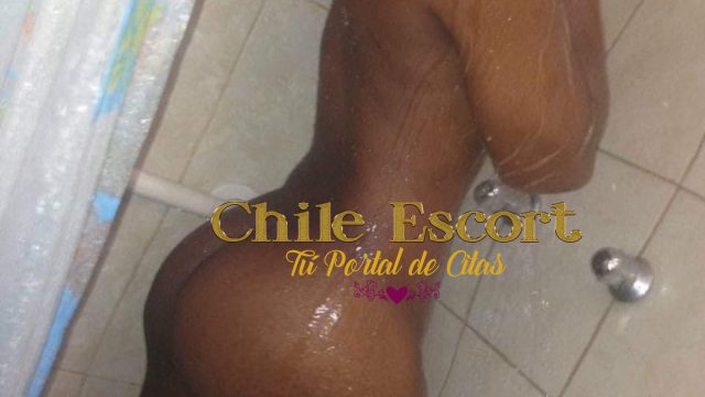 9ef7abd4-cd94-4ad6-8993-72466e2d80b5