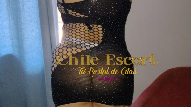 ce047d79-31a7-4a51-948f-48e68d30a94b