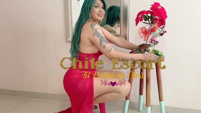 04ac38f1-2aeb-40a0-8da0-2b0f590b43fd