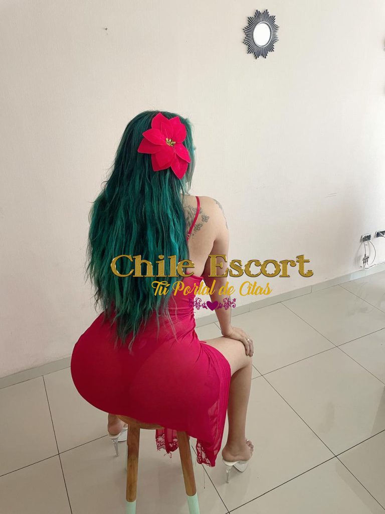 19028e0f-d90d-4039-af5d-352d075aaddc