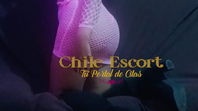 1cab321a-d47f-4520-8722-a30de19fe5f8