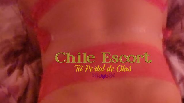 9f847398-7d43-4de0-ad4e-07f3adf3937e