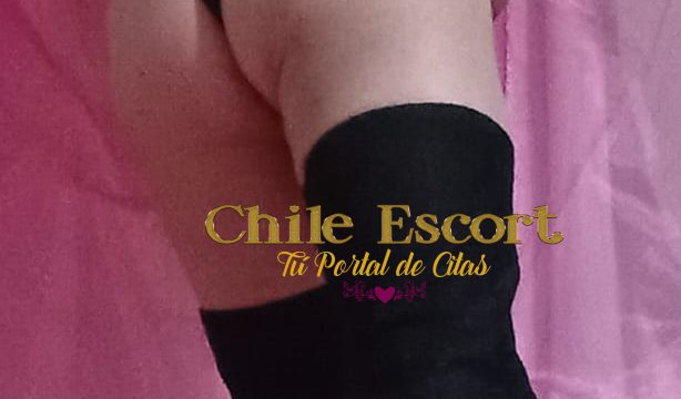 WhatsApp Image 2026-02-06 at 16.48.53 (2)