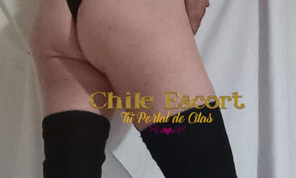 WhatsApp Image 2026-02-06 at 16.48.53 (3)