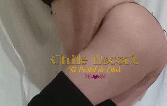 WhatsApp Image 2026-02-06 at 16.48.53