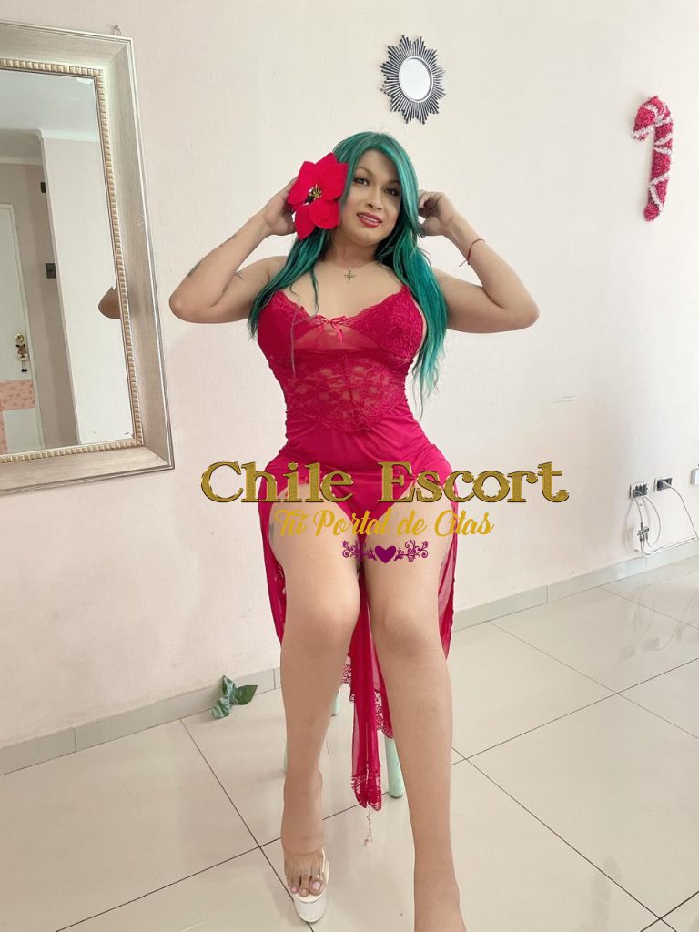 b3bf82bb-6e0a-4861-a2f8-5fa2bde70bf6