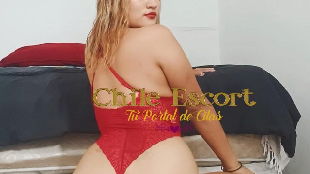 d555985a-a8dc-4f07-ab53-ece593c042d1