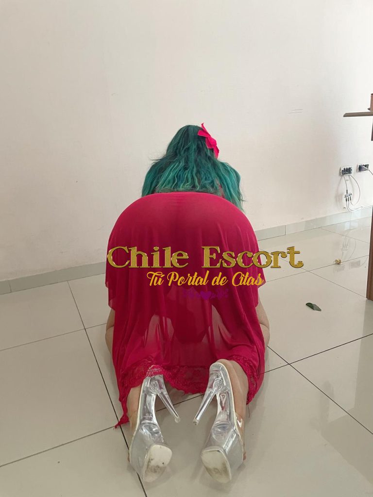 edfc0ec2-b189-4cb1-8894-101a0515707e